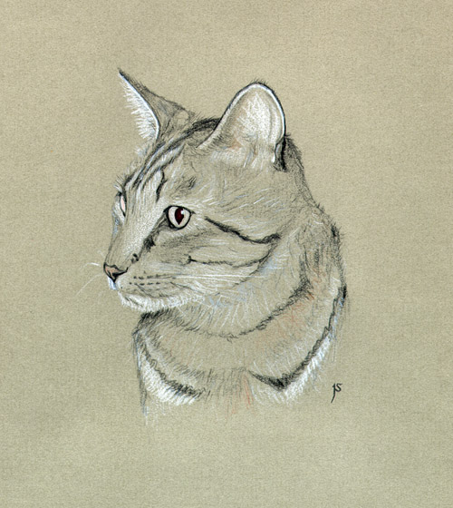 Cat, "Squirt"